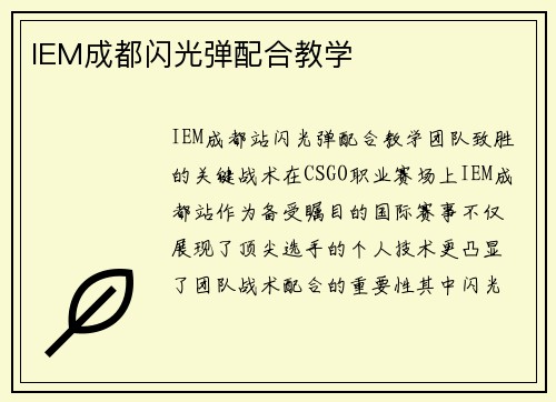 IEM成都闪光弹配合教学