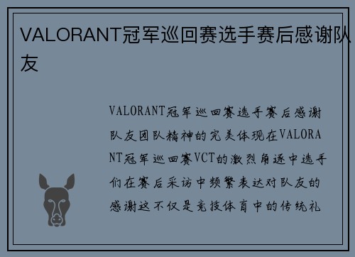 VALORANT冠军巡回赛选手赛后感谢队友