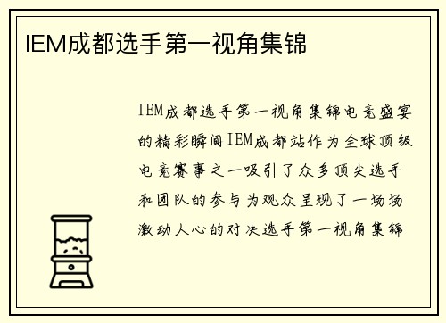 IEM成都选手第一视角集锦